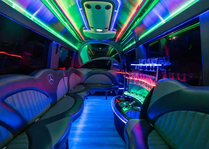15 Passenger Mercedes-Benz Sprinter - View 10