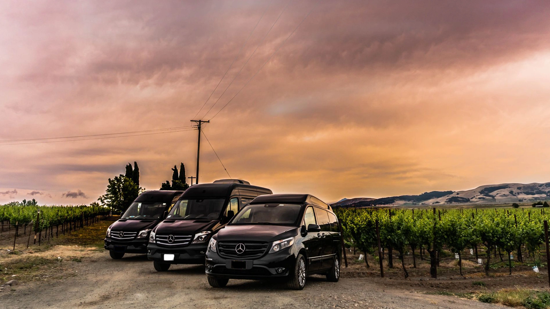 Top transportation Services Brampton, ON